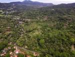 Development opportunity in Playa Carrillo