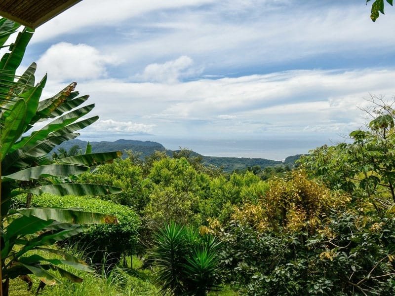 Luxury resort for sale in Playa Carrillo