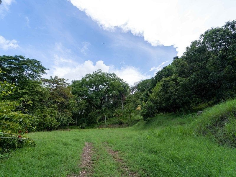 Development opportunity in Playa Carrillo