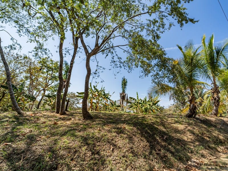 Development opportunity steps away from surf spots in Playa Carrillo