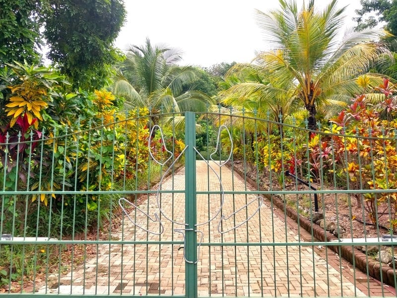 Land for sale in Playa Carrillo