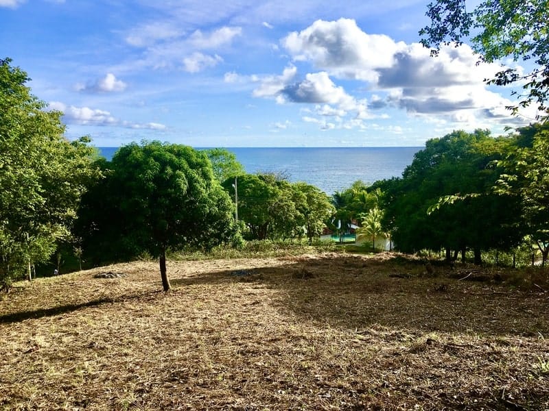 Development opportunity in Playa Carrillo