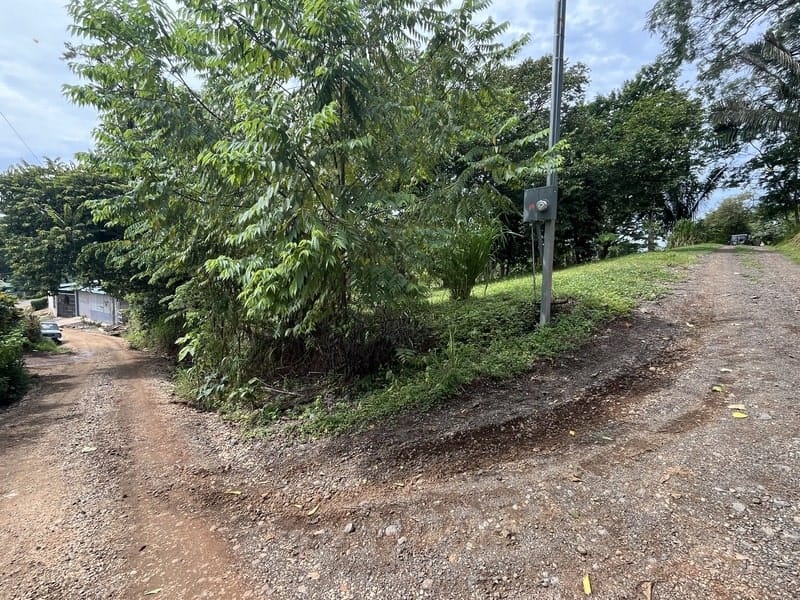 Land for sale in Carrillo