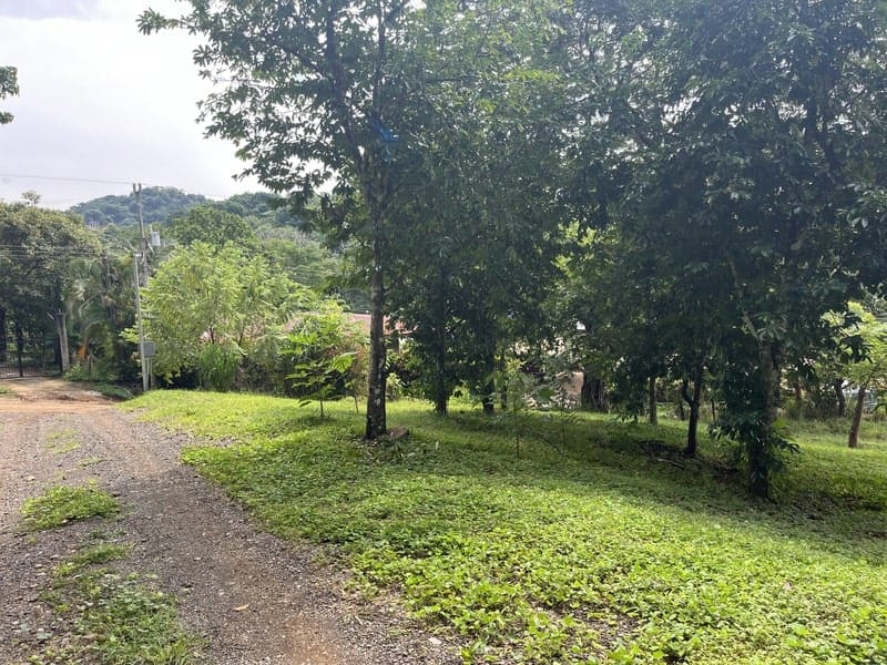 Land for sale in Carrillo