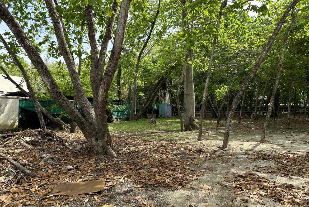 Beachfront Lot for sale in Santa Teresa