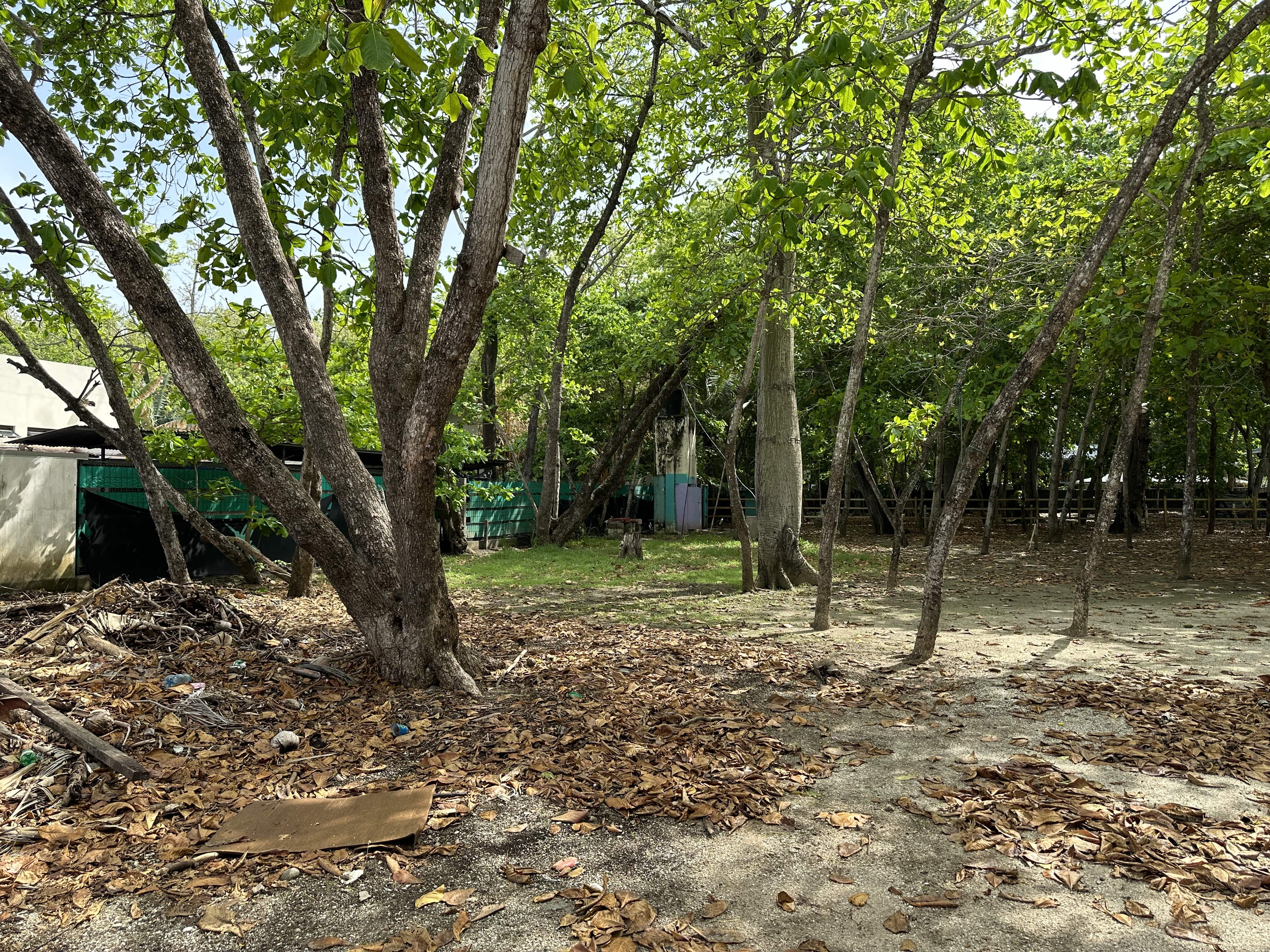 Beachfront Lot for sale in Santa Teresa