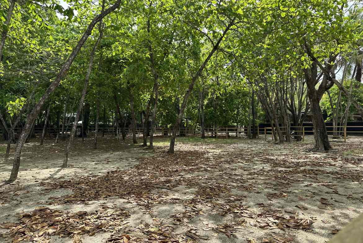 Beachfront Lot for sale in Santa Teresa