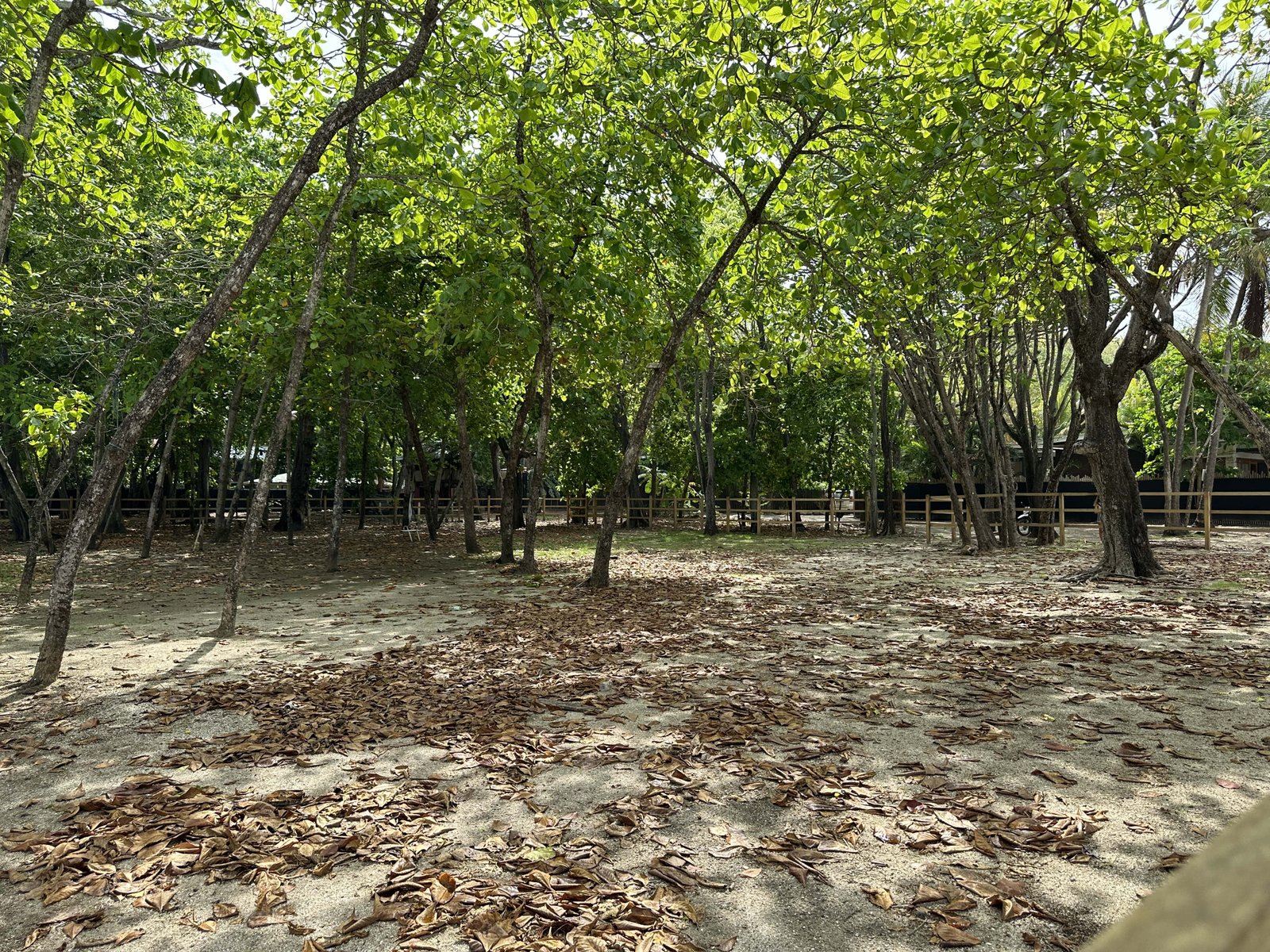 Beachfront Lot for sale in Santa Teresa