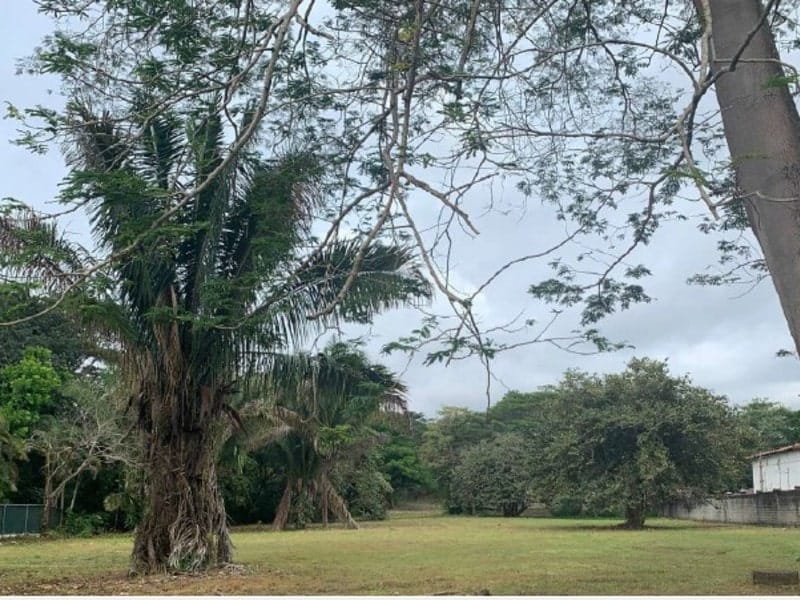 Beachfront lot for sale in Samara