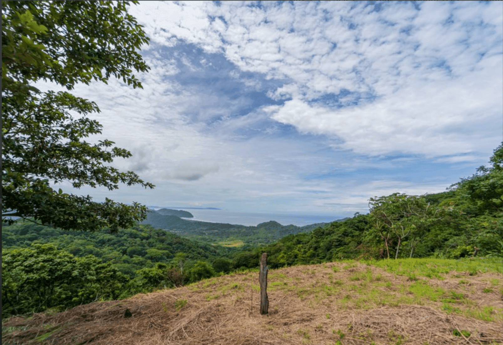 Development opportunity in Playa Carrillo