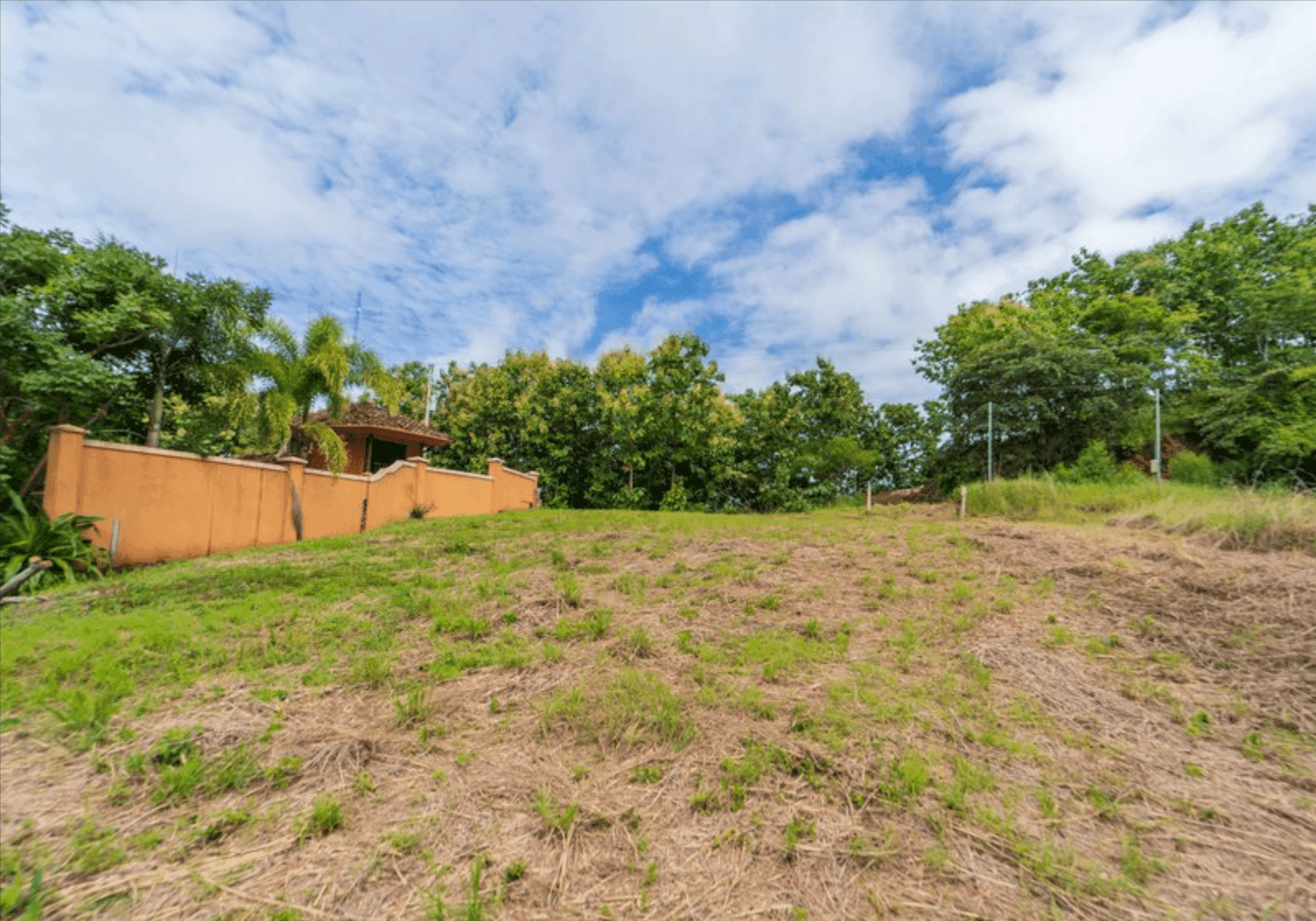 Development opportunity in Playa Carrillo