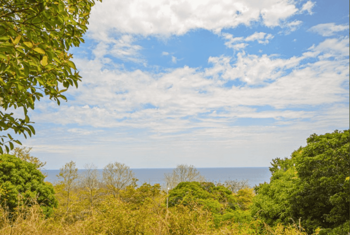 Development opportunity in Playa Carrillo