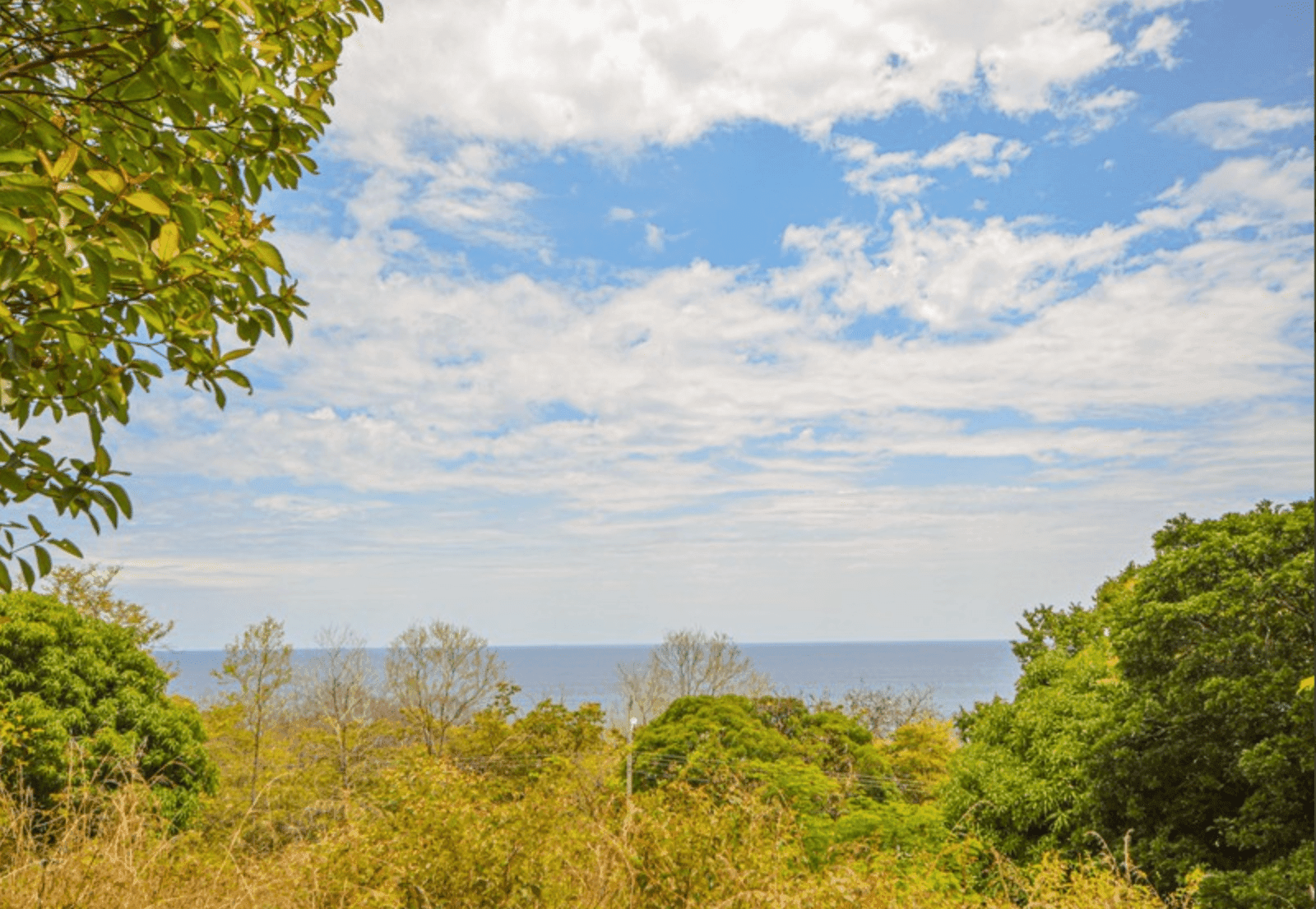 Development opportunity in Playa Carrillo