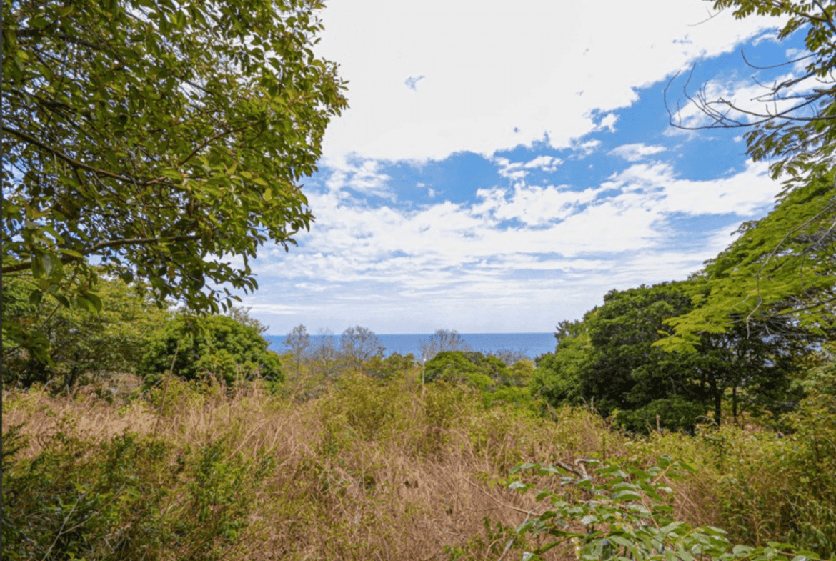 Development opportunity in Playa Carrillo