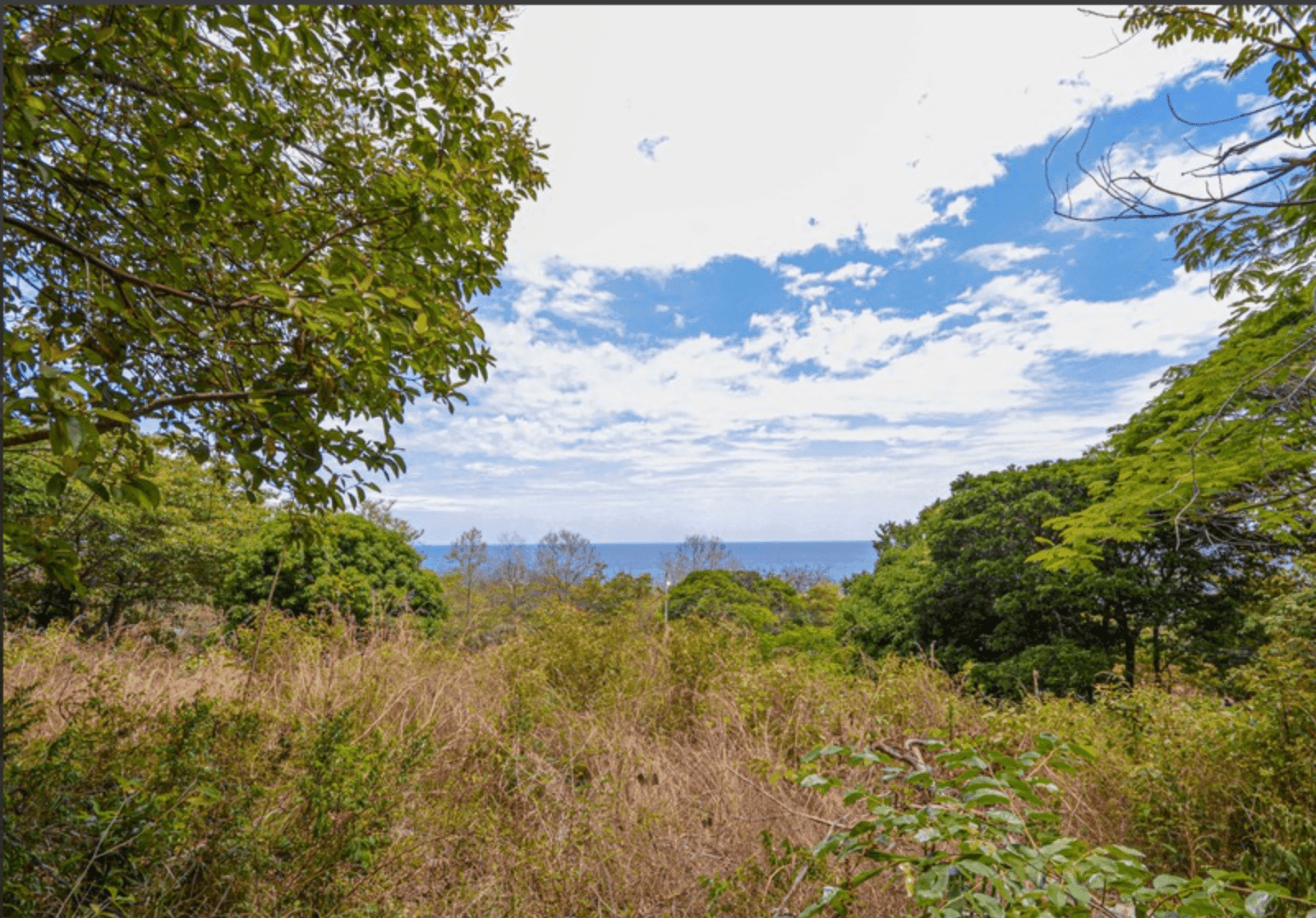 Development opportunity in Playa Carrillo