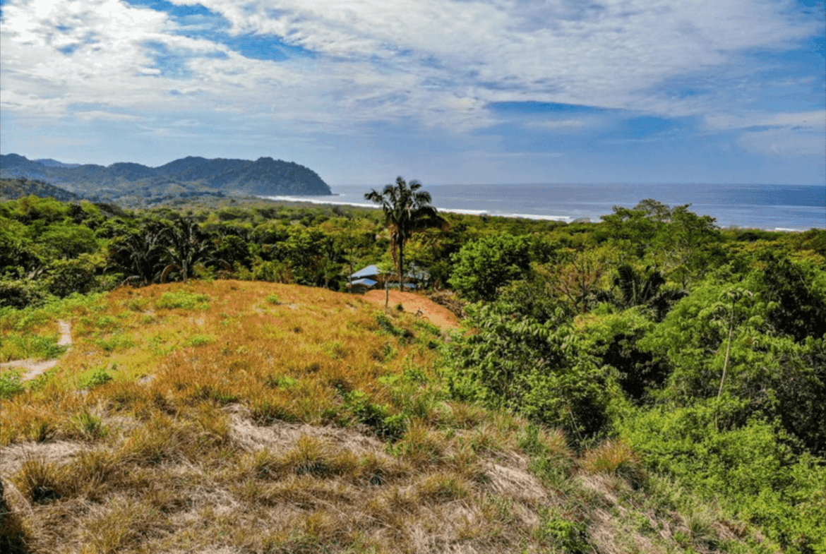 Development opportunities in Playa Carrillo