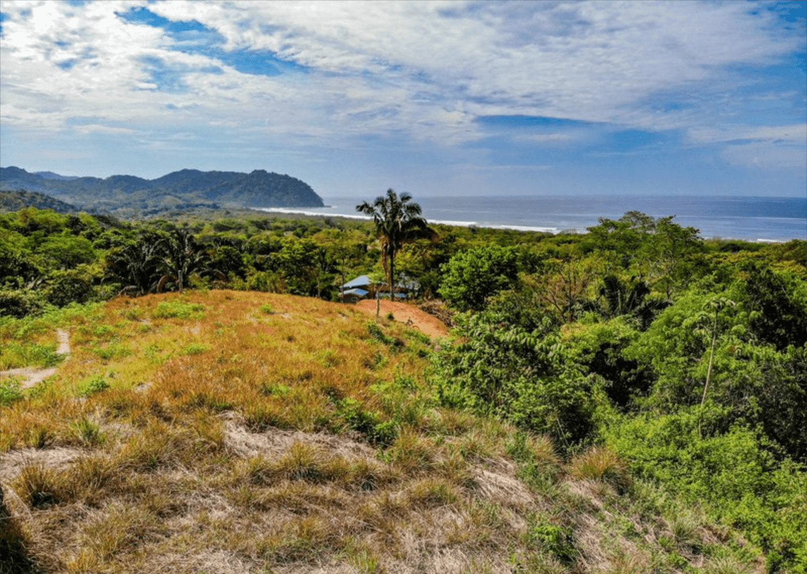 Development opportunities in Playa Carrillo