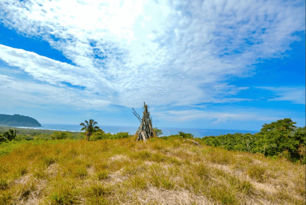 Development opportunities in Playa Carrillo