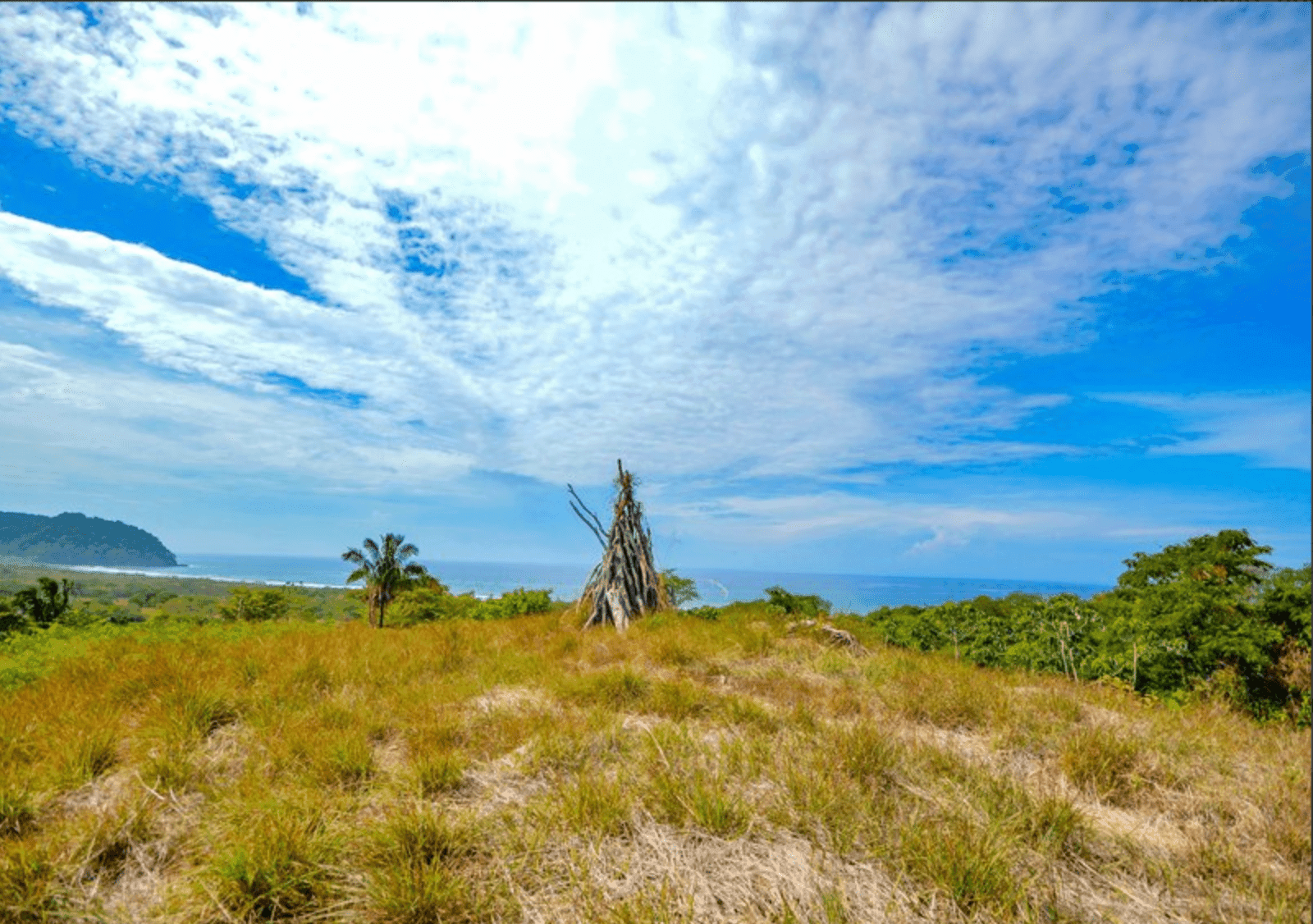 Development opportunities in Playa Carrillo