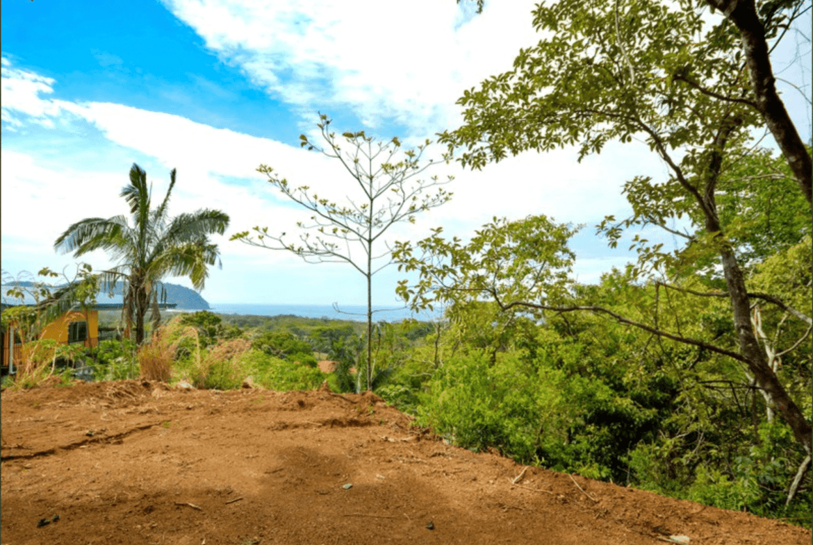 Development opportunities in Playa Carrillo