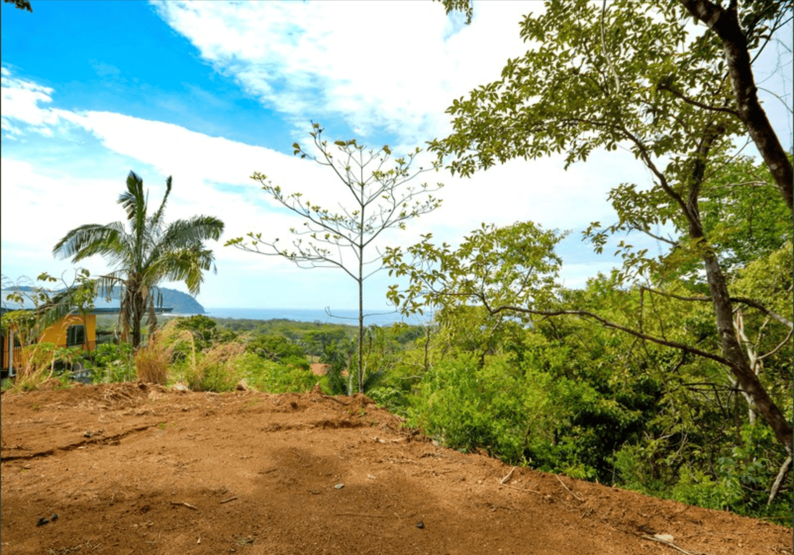 Development opportunities in Playa Carrillo