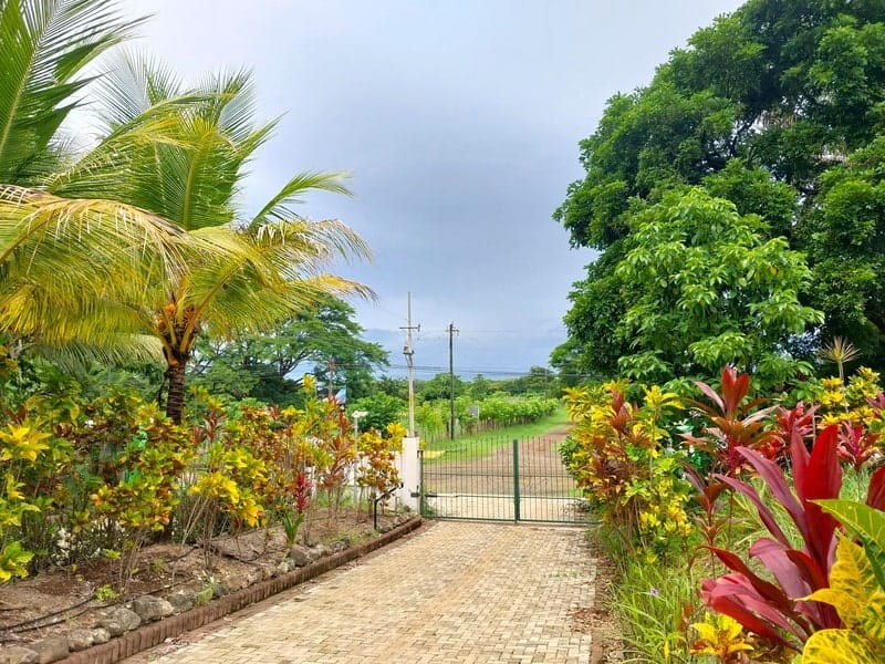 Land for sale in Playa Carrillo