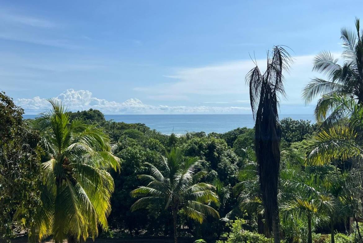 Ocean View Lot for sale in Malpais