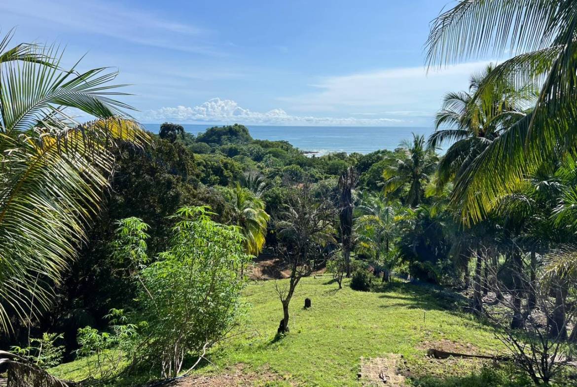 Ocean View Lot for sale in Malpais