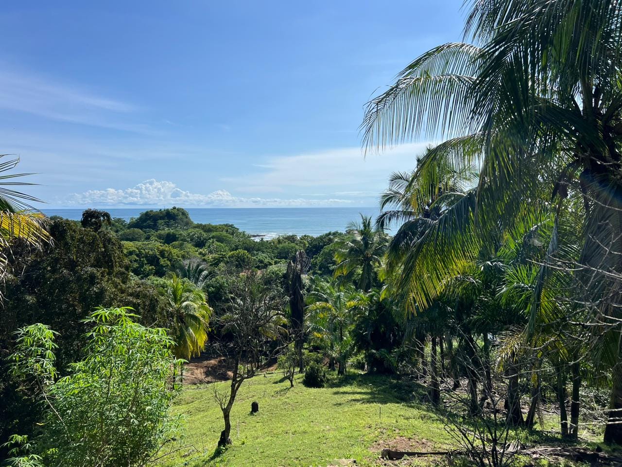 Ocean View Lot for sale in Malpais