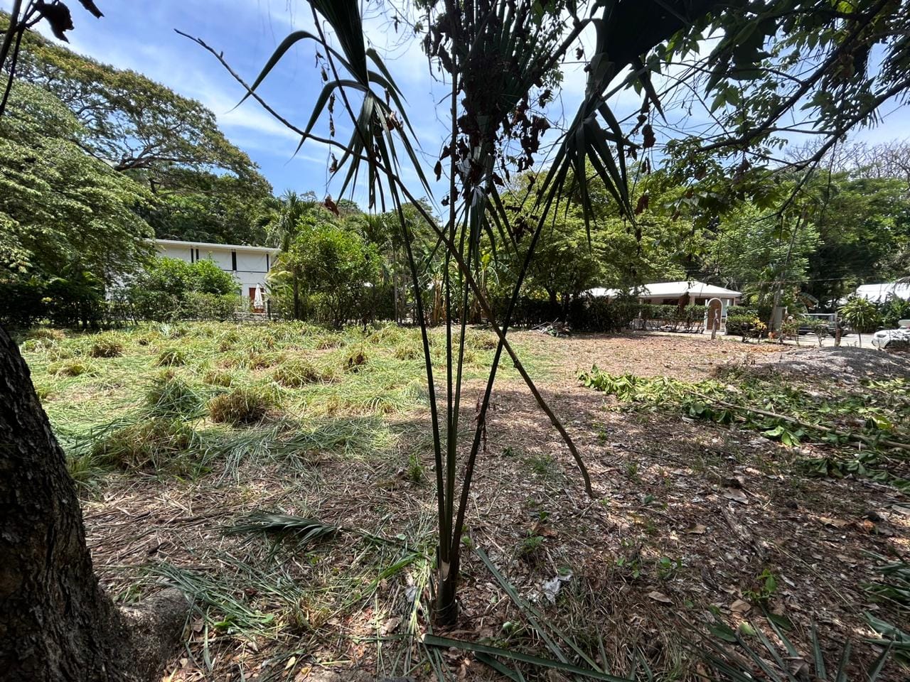 Land in Santa Teresa