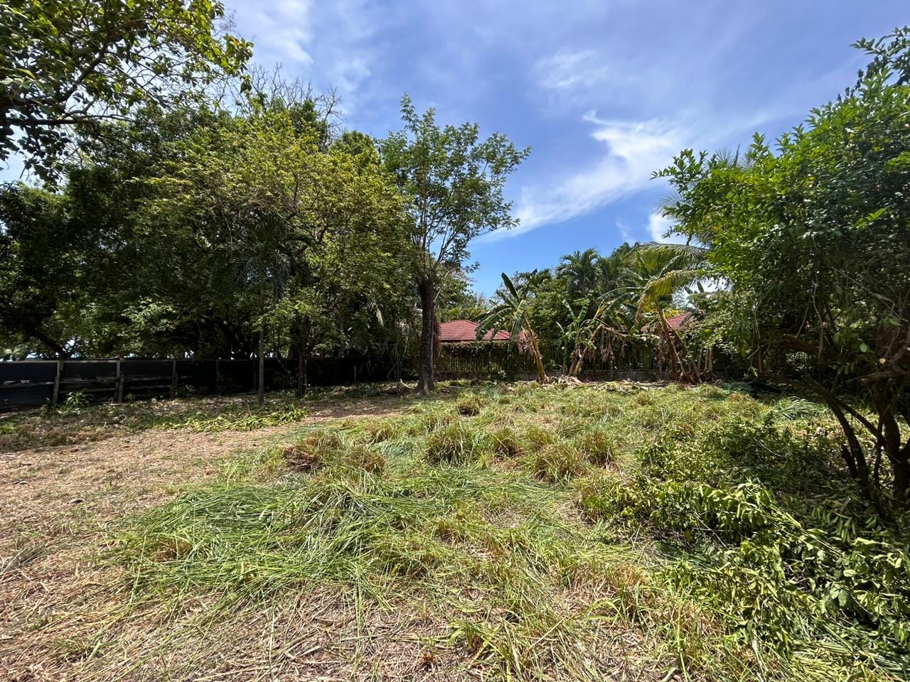 Land in Santa Teresa