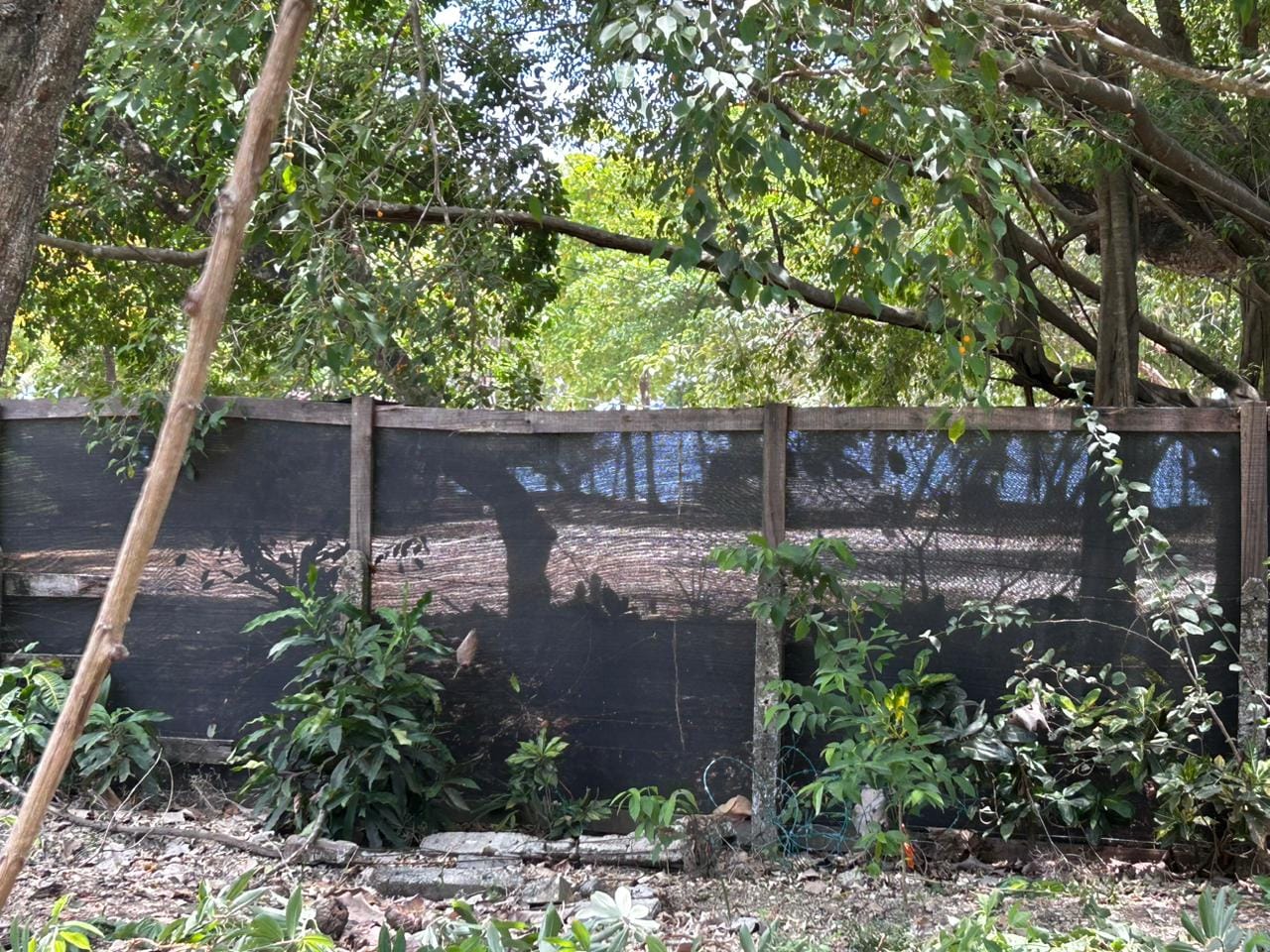 Land in Santa Teresa