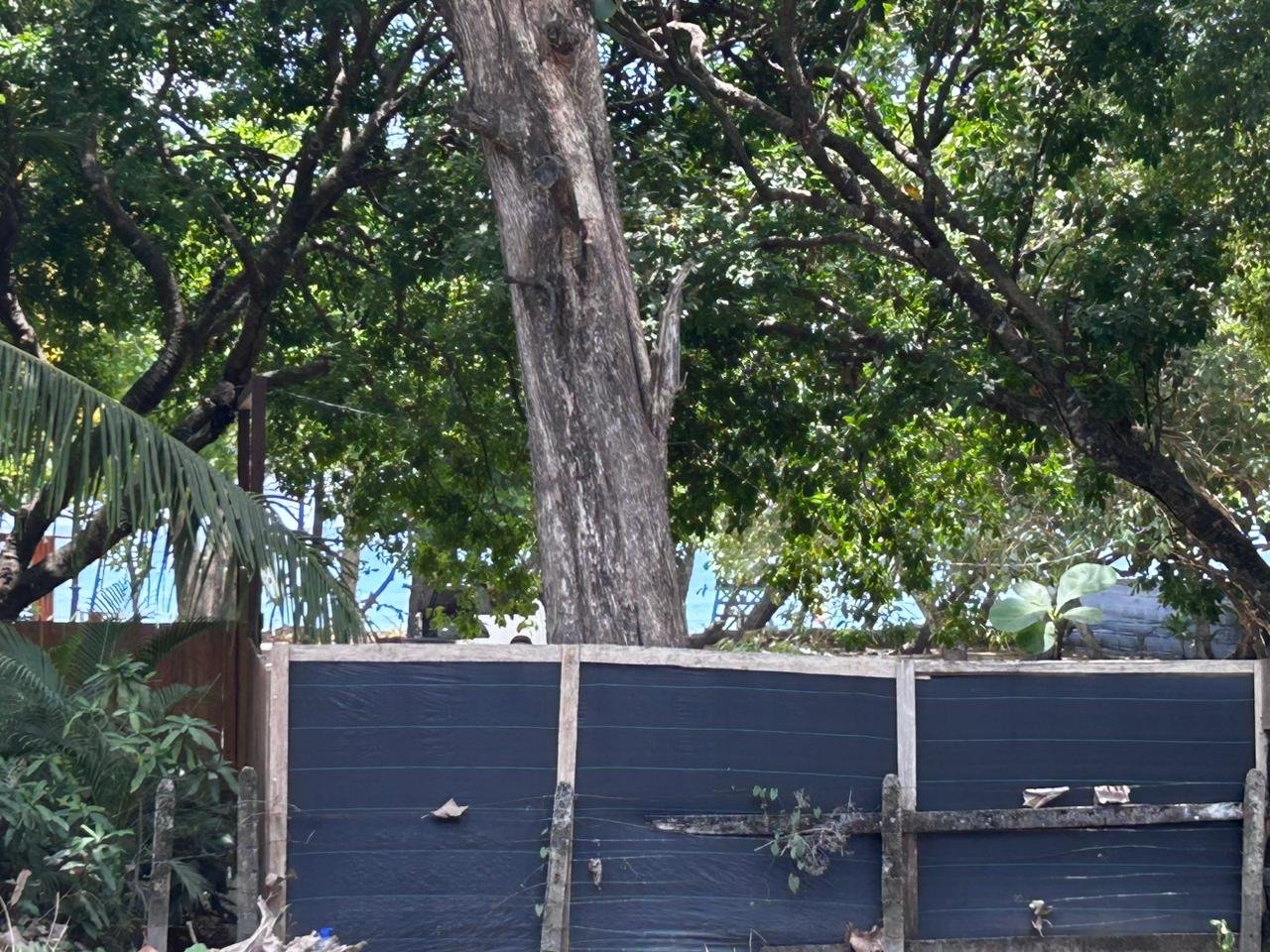 Land in Santa Teresa