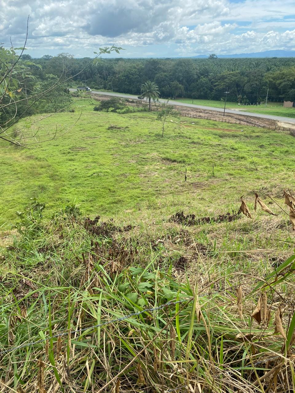 Development opportunity in Rio Claro, Golfito