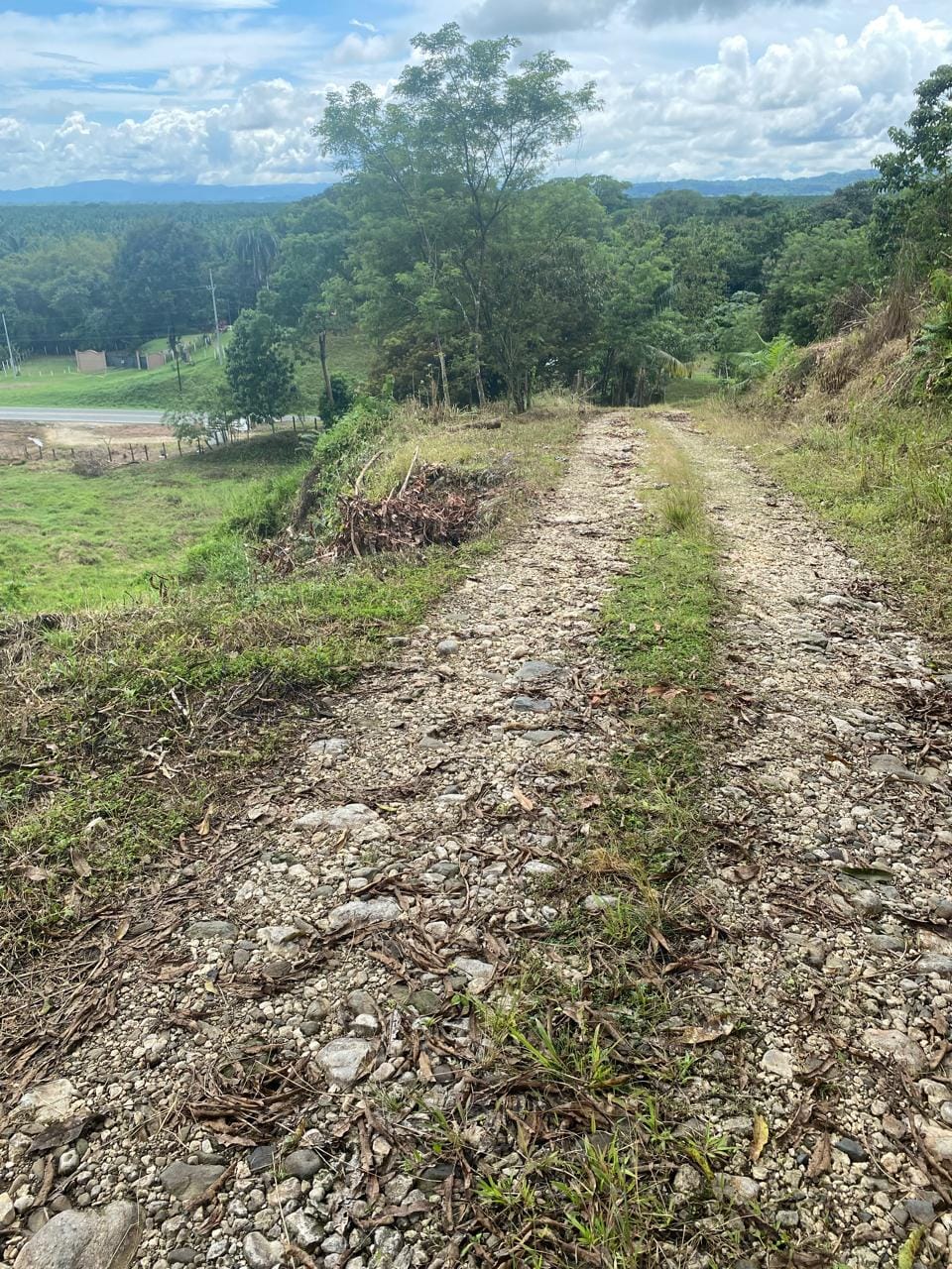 Development opportunity in Rio Claro, Golfito