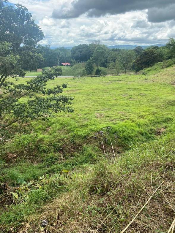 Development opportunity in Rio Claro, Golfito