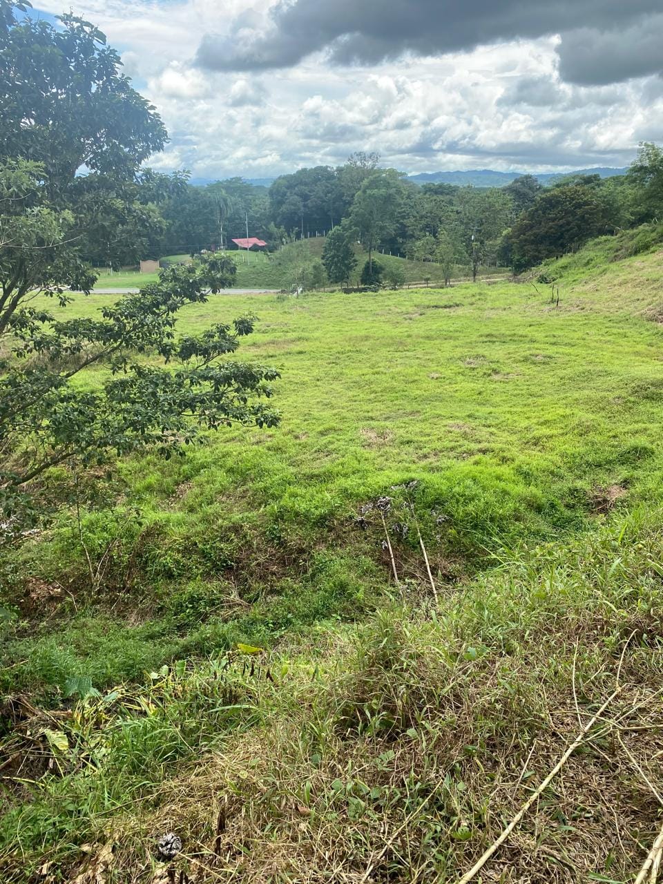 Development opportunity in Rio Claro, Golfito