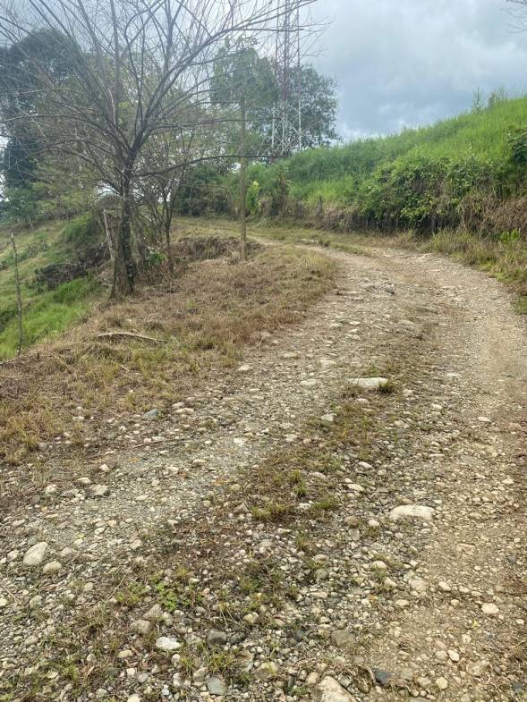Development opportunity in Rio Claro, Golfito