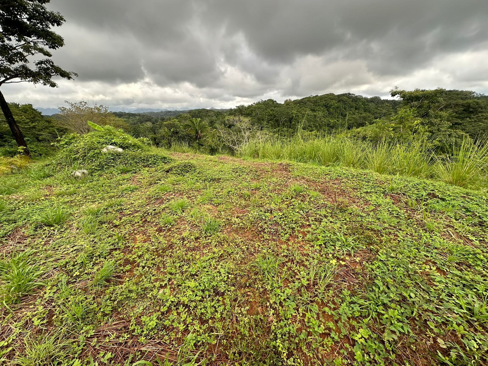 Development opportunity in Santiago, Costa Rica