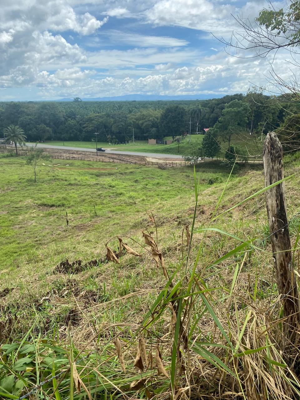 Development opportunity in Rio Claro, Golfito