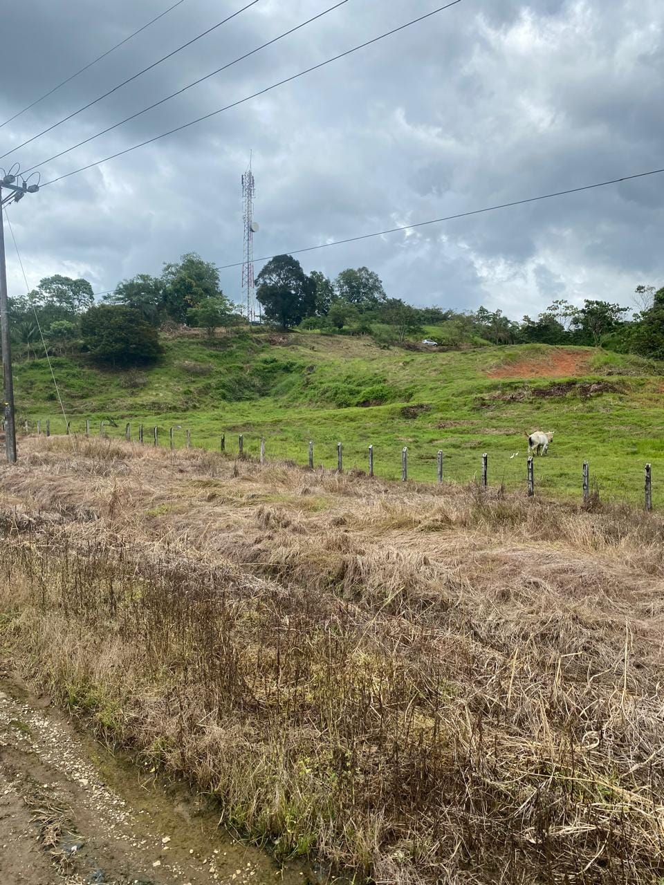 Development opportunity in Rio Claro, Golfito