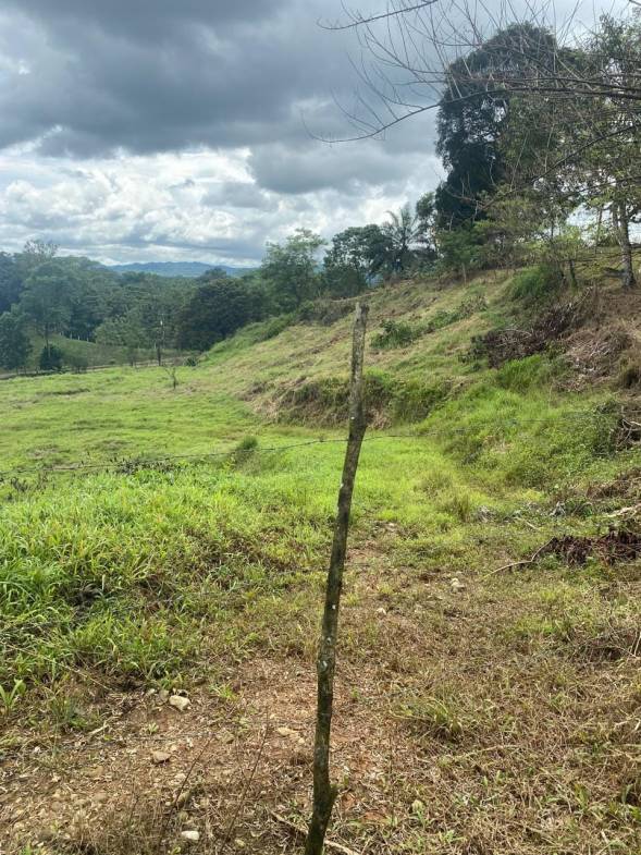 Development opportunity in Rio Claro, Golfito