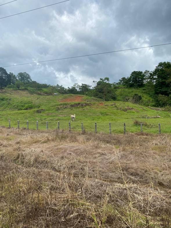 Development opportunity in Rio Claro, Golfito