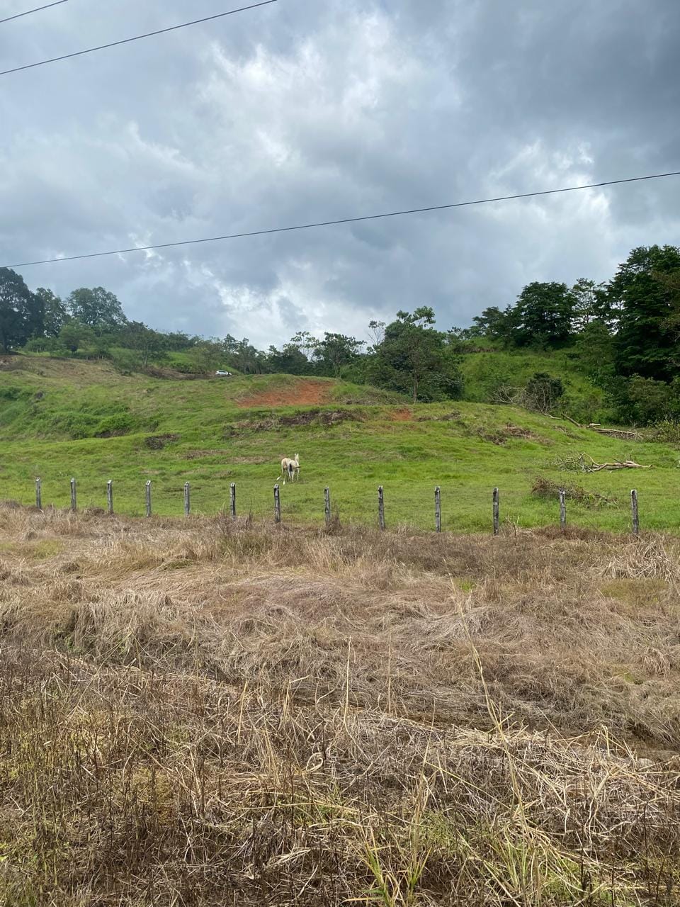 Development opportunity in Rio Claro, Golfito