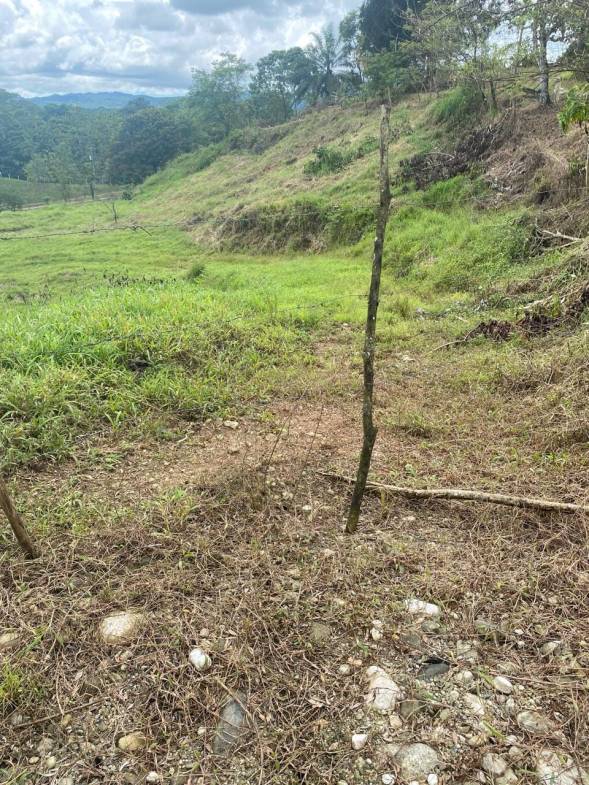 Development opportunity in Rio Claro, Golfito