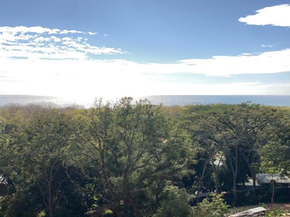 Investment opportunity in Santa Teresa