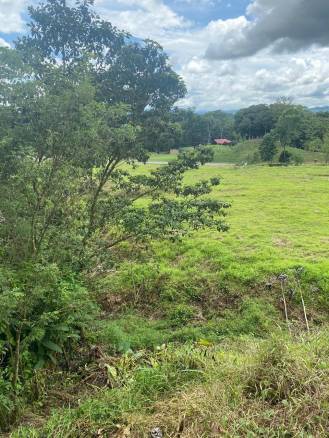 Development opportunity in Rio Claro, Golfito
