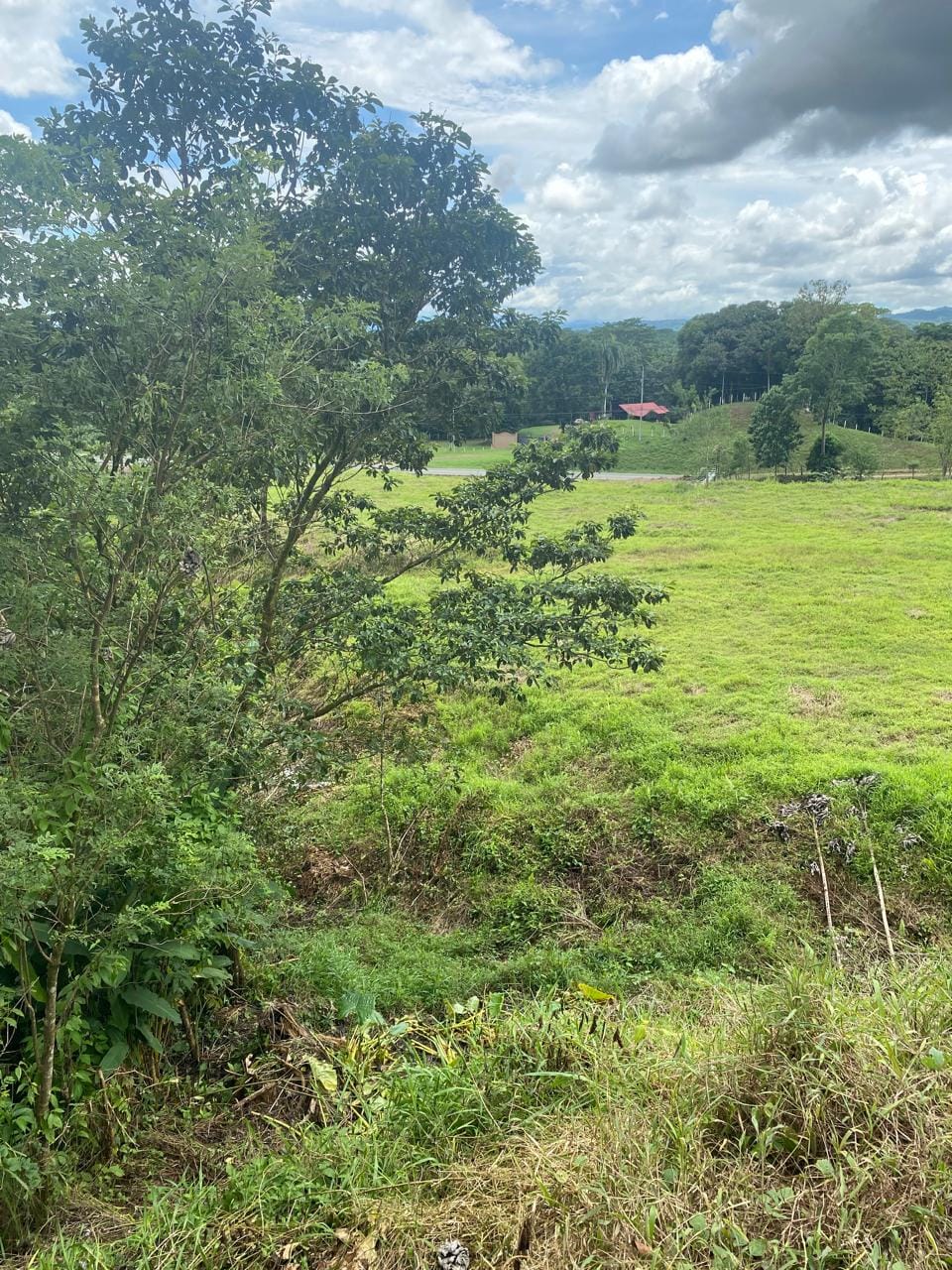 Development opportunity in Rio Claro, Golfito