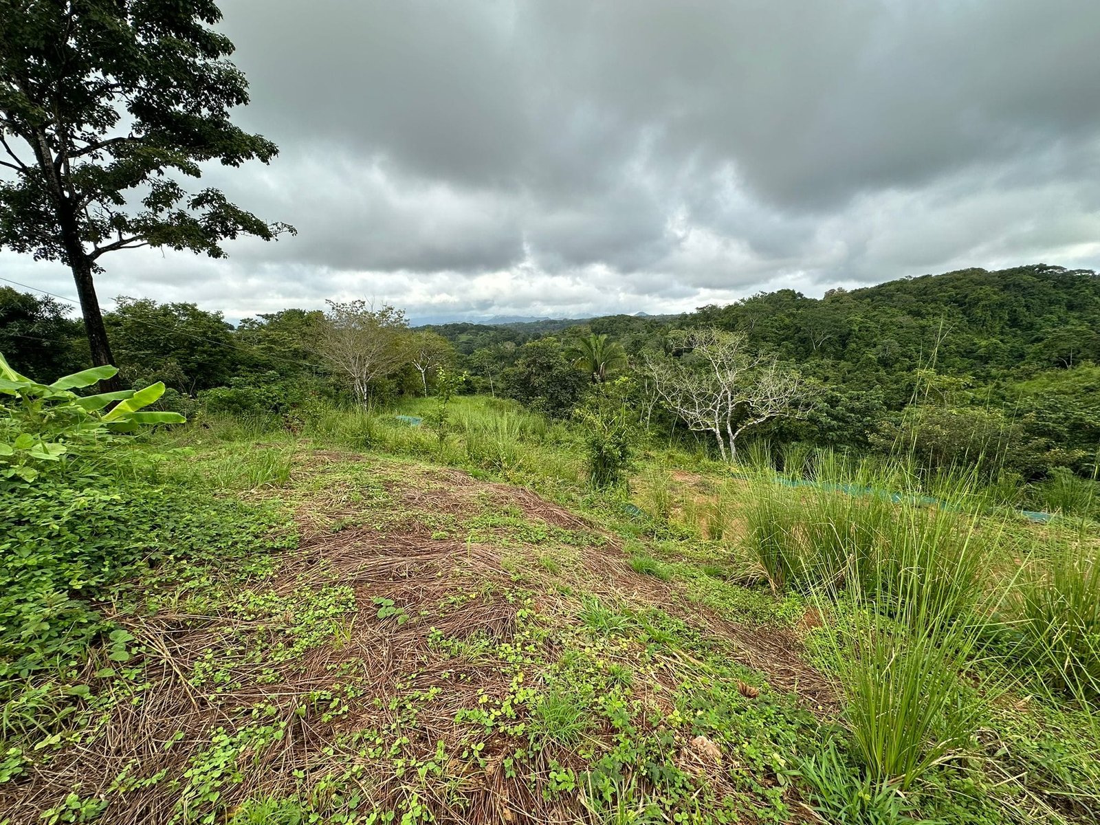 Development opportunity in Santiago, Costa Rica