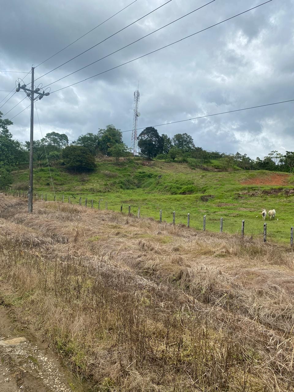 Development opportunity in Rio Claro, Golfito